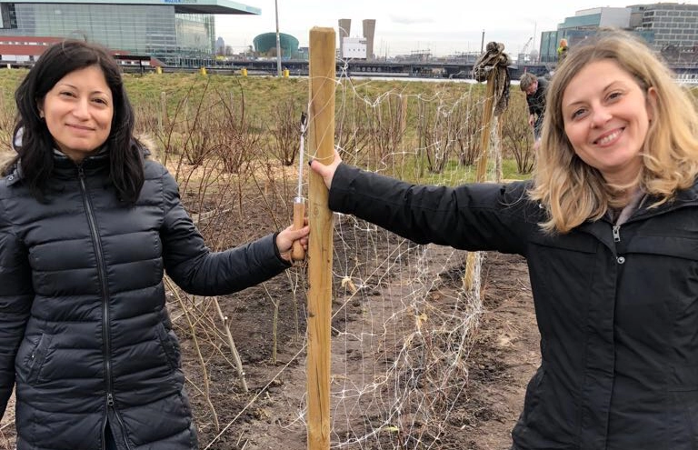 Blue Lynx’s 2018 Volunteering Day