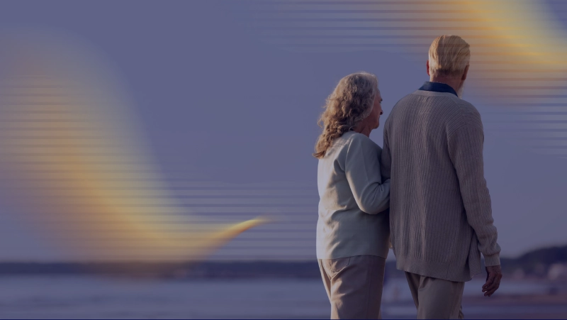 article State Pension (AOW) article State Pension (AOW)